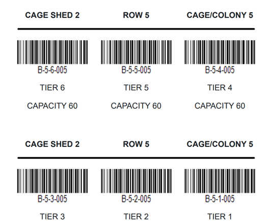 Cagecode Labelling The Cage Shed Screen - Casaccio Egg Farms